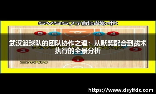 球速体育平台登录入口