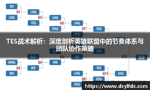 球速体育
