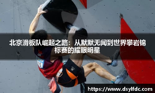 球速体育平台登录入口