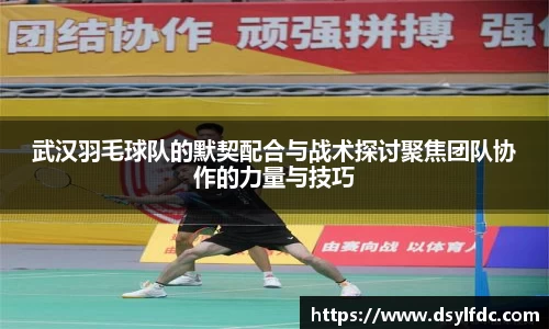 球速体育平台登录入口