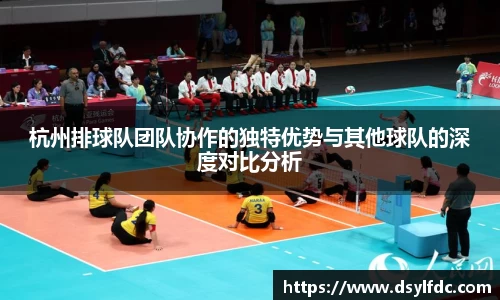球速体育官方