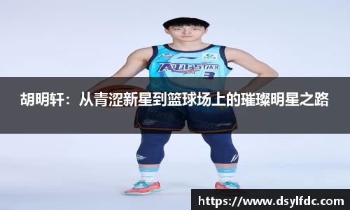 球速体育官方