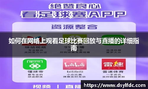 如何在网络上观看足球比赛回放与直播的详细指南